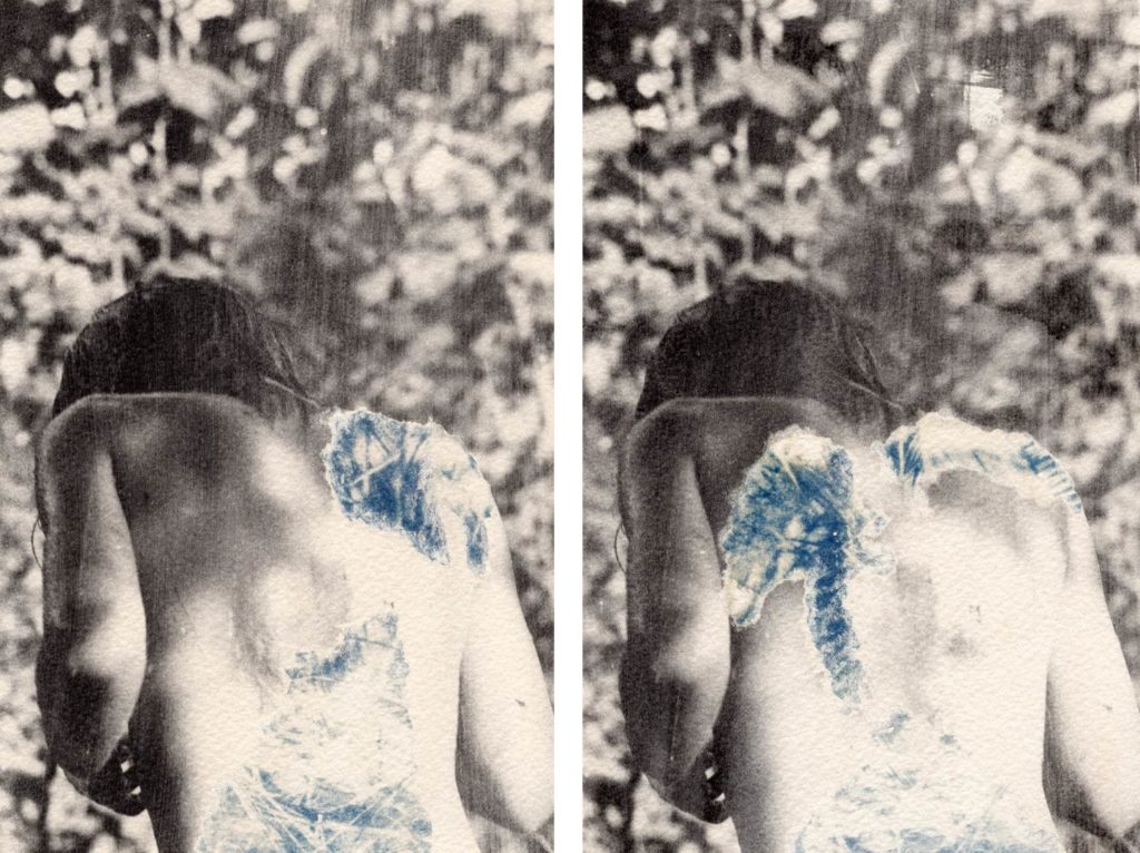 Erika Meda Photographe Cyanotype Ecorchures